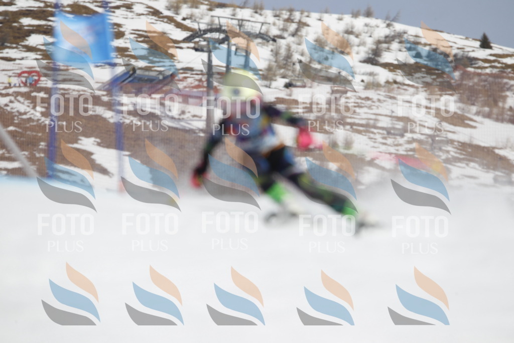 _U3G1757 | holidayphoto