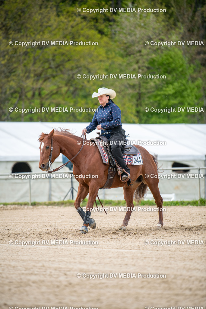 Heiligenwald Tag 2-2203 | dv-media-shop - Realisiert mit Pictrs.com