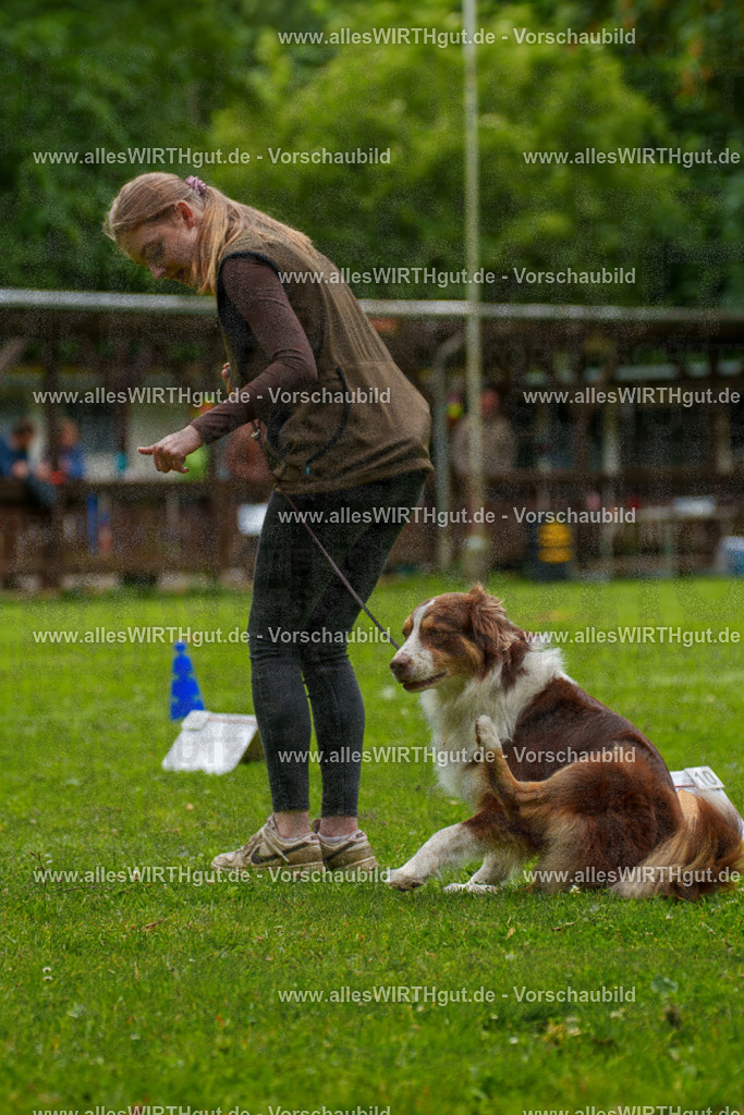 @allesWIRTHgut_Tierfotografie - www.allesWIRTHgut.de - 7R500561 | Professionelle Tierfotografie in Mönchengladbach von Daniel Wirth (allesWIRTHgut). Liebevolle & natürliche Bilder von Hunden & Katzen für unvergessliche Erinnerungen.