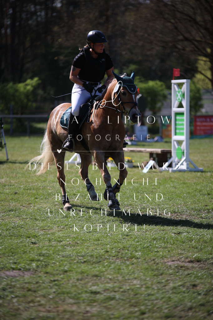 IMGT8894 | pl-fotografie