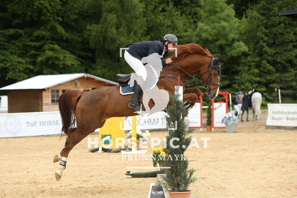 DL2Q2140 | Willkommen bei Brunnmayr - Design & Fotografie – Ihrem Spezialisten für Reitturniere und Pferdeveranstaltungen in Oberösterreich, Salzburg und Bayern! Seit über 17 Jahren sind wir leidenschaftlich dabei.
