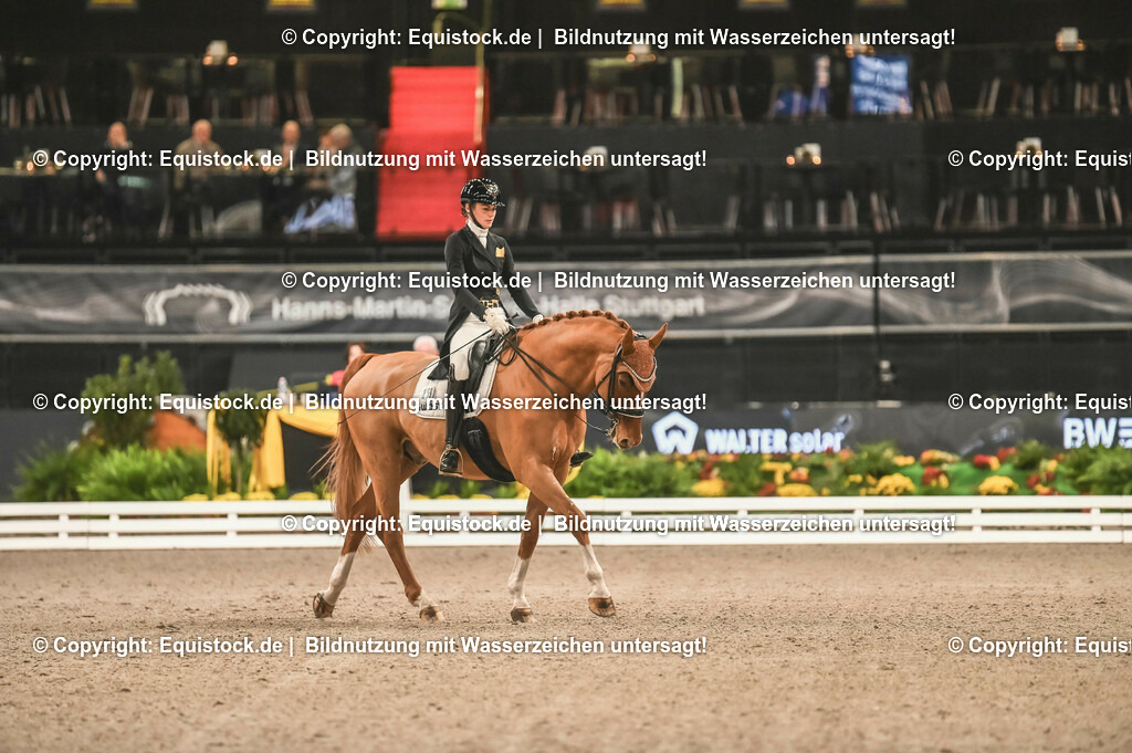 20231115_20_Dressur_Kl-S++_0219_TOMsPiC | Foto: Thomas Hartig