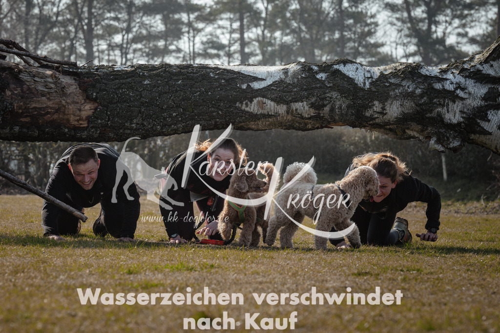 1110_ZZ94954 | kk-dogfotos