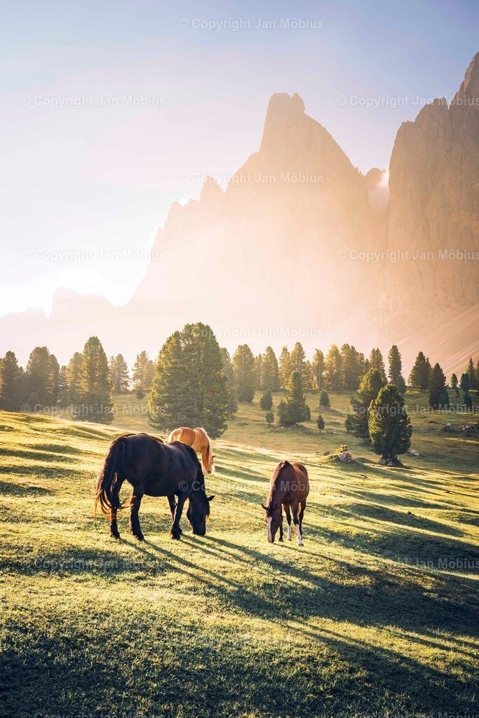 _DSC1394 | Leipzig Wandbilder Drucke Prints Leinwand Stadtmotive Leipzig Fotosdruck Kunstdrucke Bilder Leipzig Stadtansichten Acrylglasbilder Leipzig Wanddeko Fine Art Prints Wandbilder Büro Leipzig Bilder Praxis Zuhause Bilderdruck Poster Posterlounge Kunstdrucke - Realisiert mit Pictrs.com