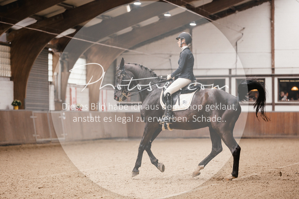 3I6A8204 | Stimmungsvolle Portraits und Reitsportfotografie im Ruhrgebiet und im Münsterland.

Pferdefotografie, Hundefotografie, Tierfotografie, Reportagen, Portraits von Tier und Mensch, Turnierfotografie in Bochum, Recklinghausen, Marl, Haltern am See, Dülmen.. - Realisiert mit Pictrs.com