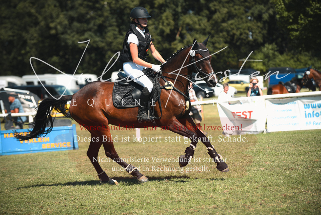 DSC_7204 | Pferde- und Turnierfotografie in Westsachsen. Pferdeportraits, Auftragszeichnungen und intuitive Kunst.