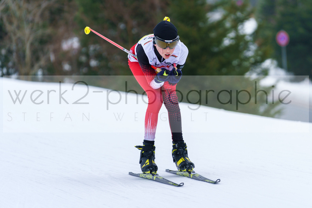 DSC Arber | Bayerischer Wald am 9. bis 12. Februar 2023
