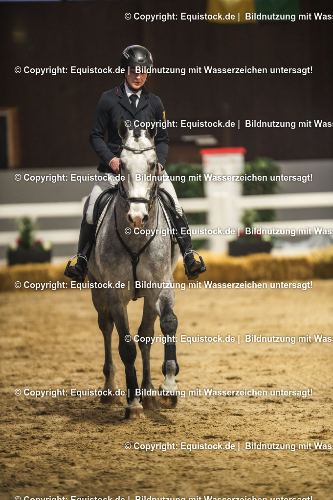 20240302_Hengstvorstellung_Marbach_TOMsPiC_0317 | equistock