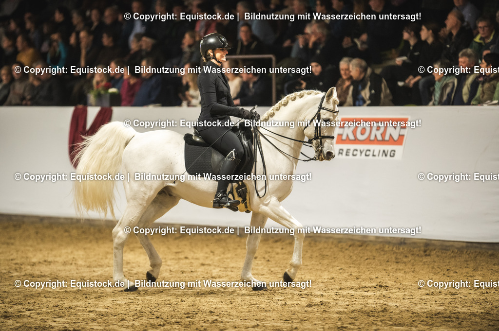 20240302_Hengstvorstellung_Marbach_TOMsPiC_1074 | equistock