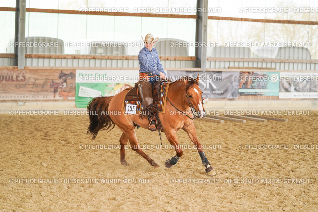 DSC01544 | Pferdegrafie