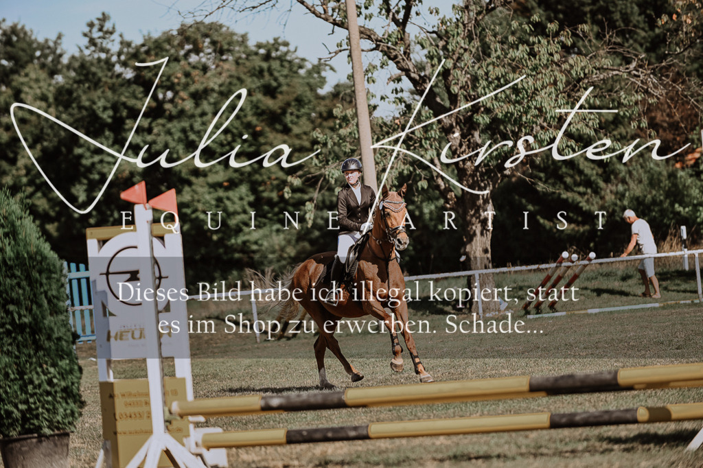 DSC_9314 | Pferde- und Turnierfotografie in Westsachsen. Pferdeportraits, Auftragszeichnungen und intuitive Kunst.