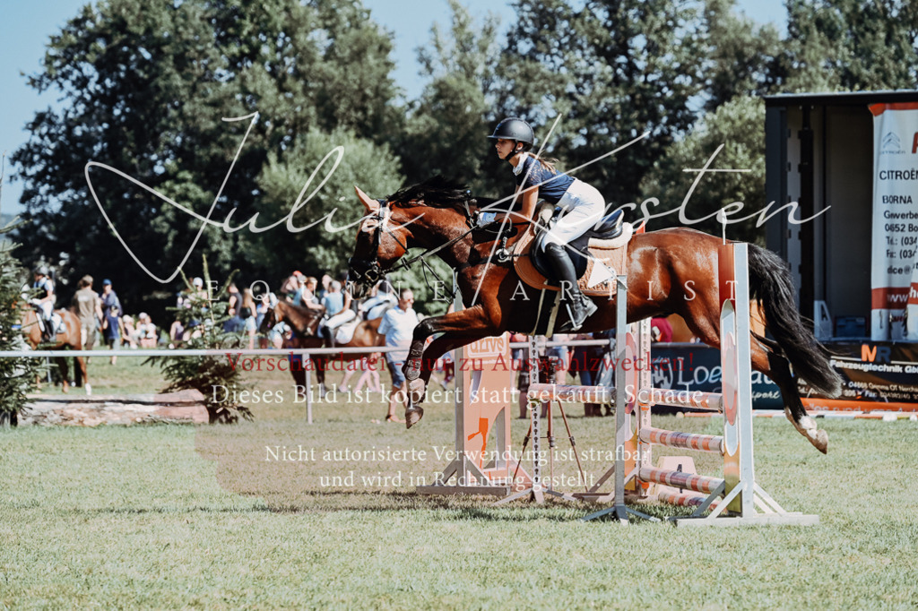 DSC_6572 | Pferde- und Turnierfotografie in Westsachsen. Pferdeportraits, Auftragszeichnungen und intuitive Kunst.