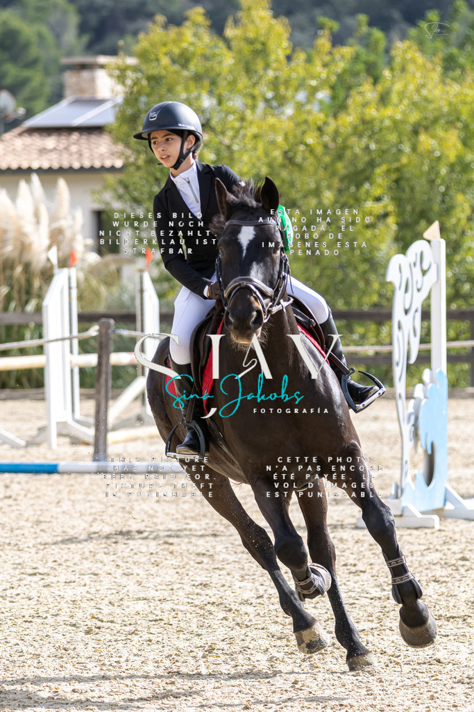 IMG_5962 | s-jay-photography - Realisiert mit Pictrs.com