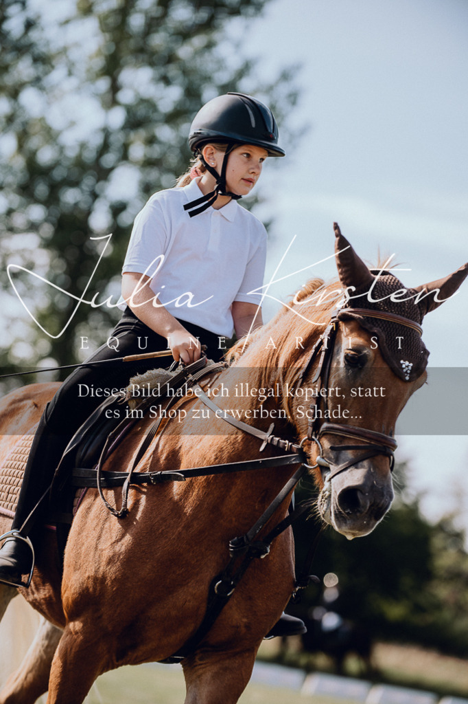 DSC_6932 | Pferde- und Turnierfotografie in Westsachsen. Pferdeportraits, Auftragszeichnungen und intuitive Kunst.