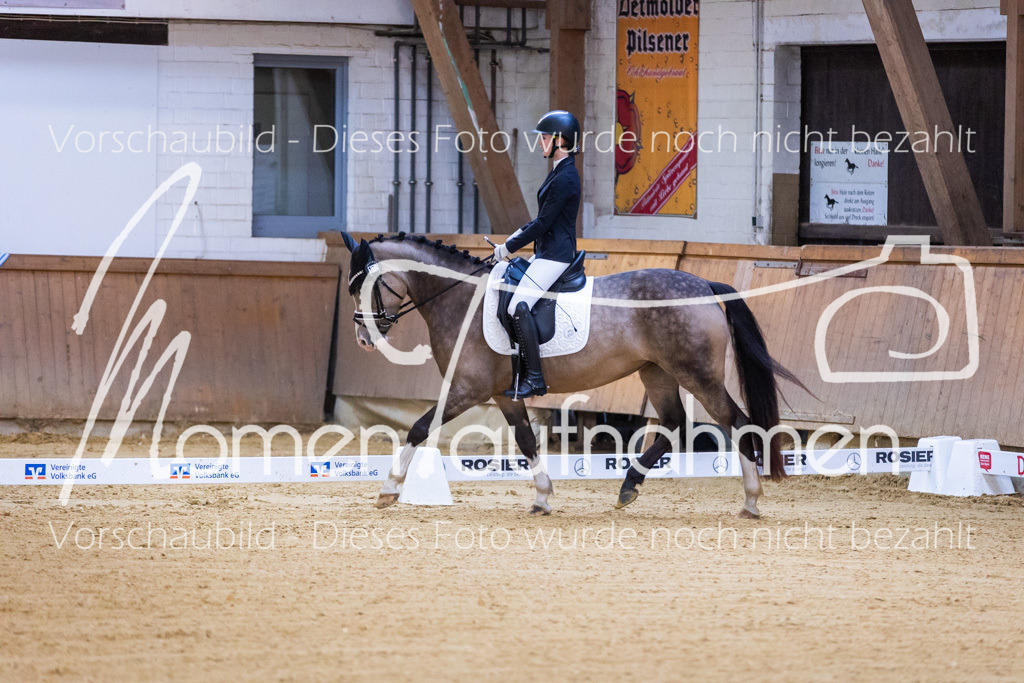 Sth-A-Dre-1St-043 | MomenTaufnahmen Pferdesportfotos