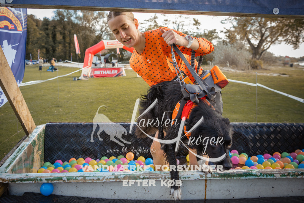 1318_ZZ90151-2 | kk-dogfotos