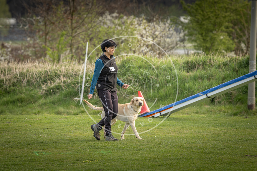 Pfotenfotografie_DV3A4921 | Hundefotografie, Tierfotograf, Pfotenfotografie, Fotoshooting Hund, Hunde Portrait, Hundesport, Hundeportraits, Heideshooting, Hunde, Sportfotograf, Hundefotograf, Turnierhundsport, THS,  - Realisiert mit Pictrs.com