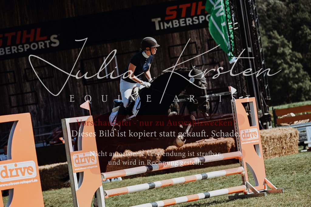 DSC_6634 | Pferde- und Turnierfotografie in Westsachsen. Pferdeportraits, Auftragszeichnungen und intuitive Kunst.