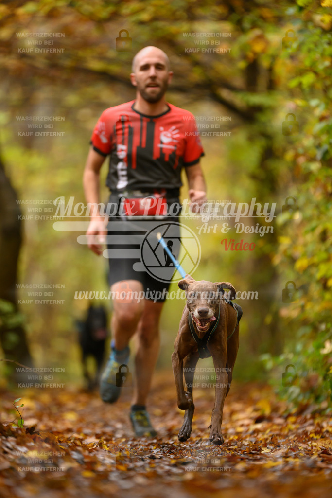 MompixPhotography_CD7S_DI_CCL-62 | mompixphotography