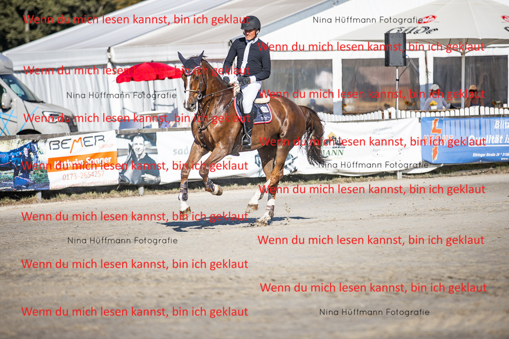 BK1A8570 | Turnierbilder Turnierfotos Nina Hüffmann Turnierfotografie Pferdefotografie Tierzeichnung Haustierzeichnung Pferdezeichnung Hundezeichnung Videograf  - Realisiert mit Pictrs.com