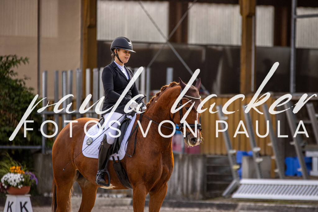 IMG_3331 | Erleben Sie dynamische Sport- und emotionale Tierfotografie in Süddeutschland mit Fotos von Paula. Spezialisiert auf Pferde- und Hundefotografie sowie Sportevents. Kontaktieren Sie mich für einzigartige und ausdrucksstarke Bilder Ihrer besonderen Momente.