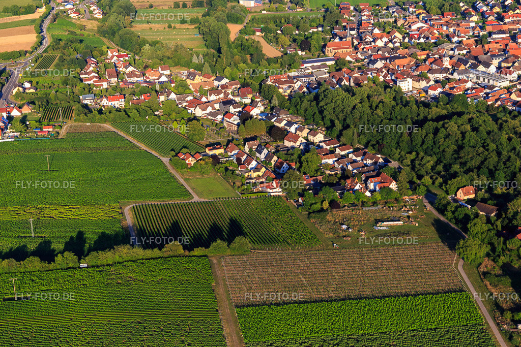 Wasgaustraße Vogesenstr | Luftbild: Wasgaustraße Vogesenstr im Ortsteil Ingenheim in Billigheim-Ingenheim im Bundesland Rheinland-Pfalz in Deutschland. Foto: IMG_149449.jpg vom 18.07.2025 durch ©2025 Werner Riehm fly-foto.de/copyright - Realisiert mit Pictrs.com