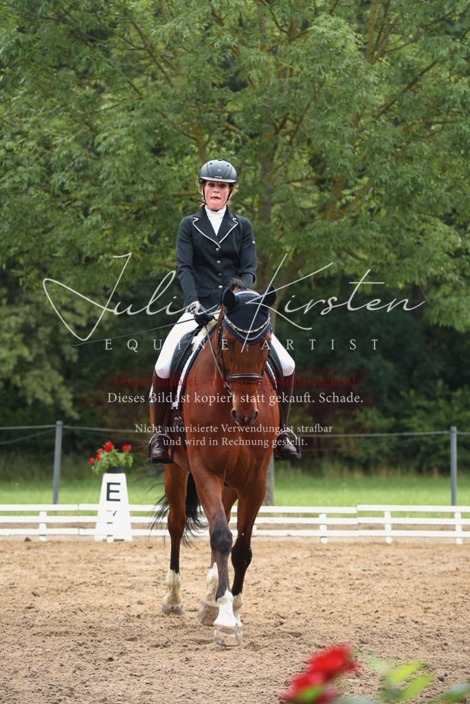 DSC_0238 | Pferde- und Turnierfotografie in Westsachsen. Pferdeportraits, Auftragszeichnungen und intuitive Kunst.