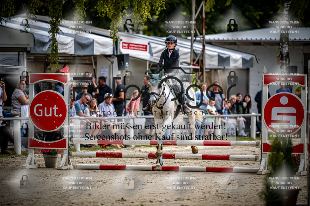 Turnier Laggenbeck 2026-15-0038 | Entdecke hochwertige Reitturnierfotos von Foto Oger. Professionell, emotional und authentisch – jetzt Lieblingsmomente im Shop bestellen.Deutschlandweite Turnierfotografie. - Realisiert mit Pictrs.com