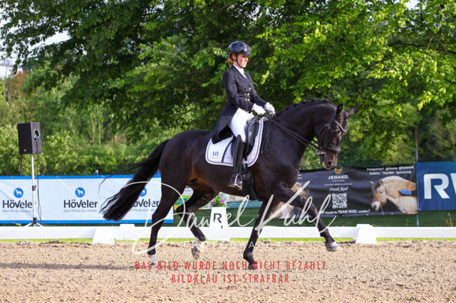 DKP41727 | Deine Turnierfotos vom Reitturnier online kaufen: Dressur, Springen & Siegerehrung. Professionelle Pferdefotografie aus dem Rheinland – als Download & Print.Alternative: Turnierfotograf für den Pferdesport: Finde deine Fotos von Dressur- und Springturnier