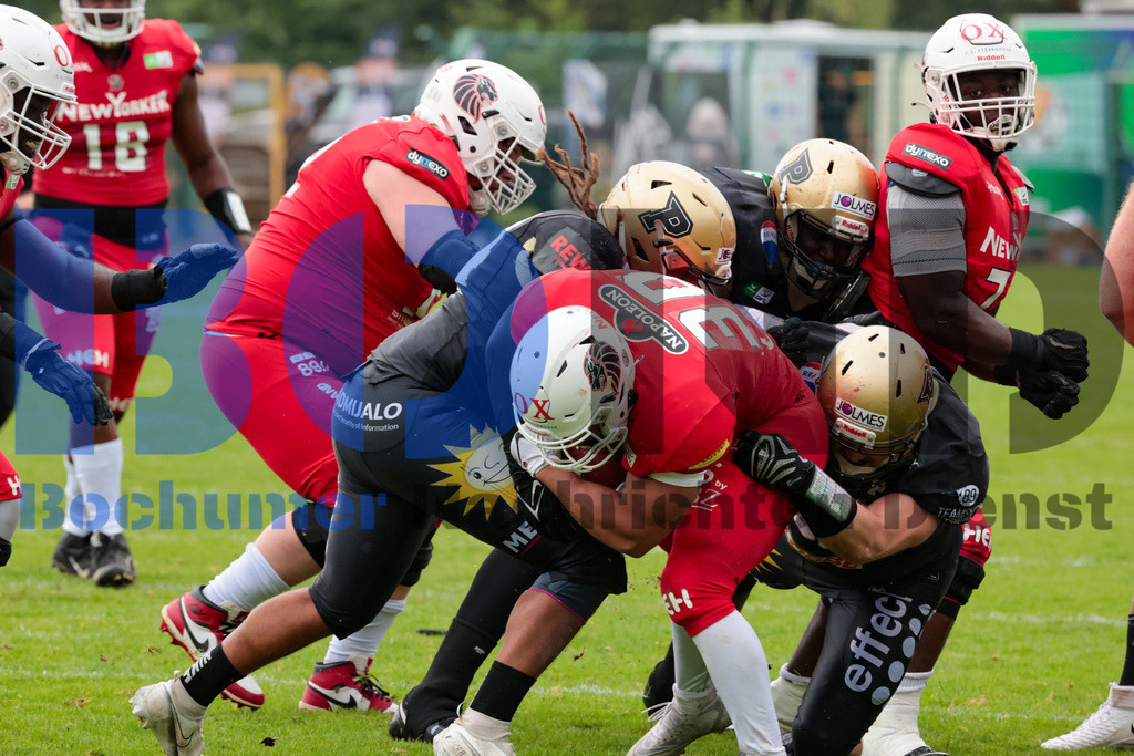 GFL: Paderborn Dolphins vs. New Yorker Lions{date} -  | {headline}(Foto: Sebastian Sendlak / BOND) - Realisiert mit Pictrs.com