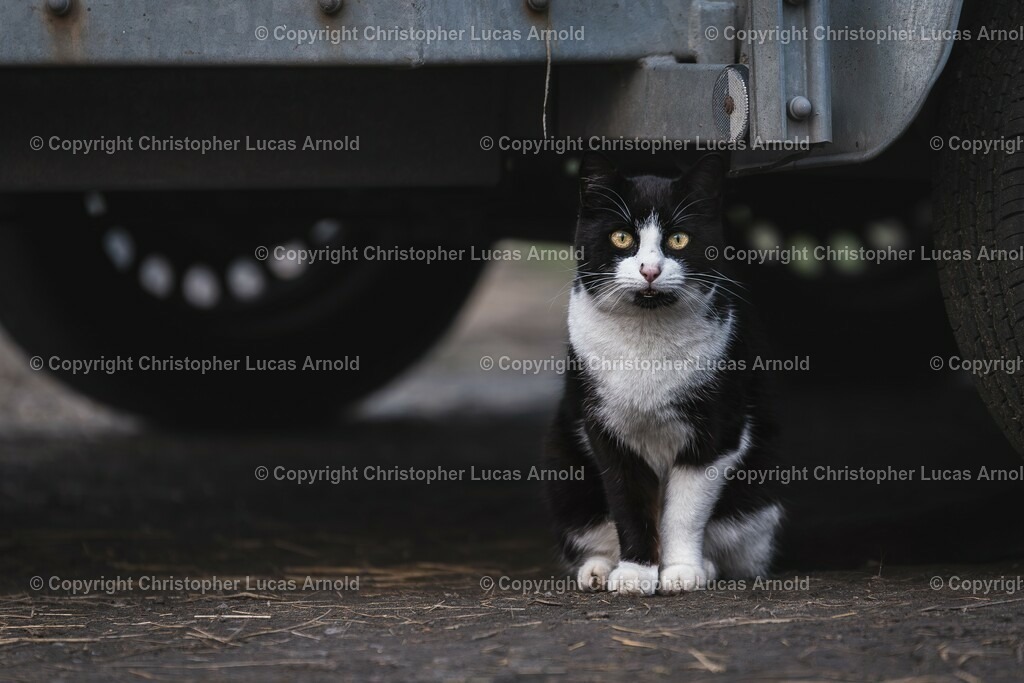 11 | bildkomponist - Realisiert mit Pictrs.com