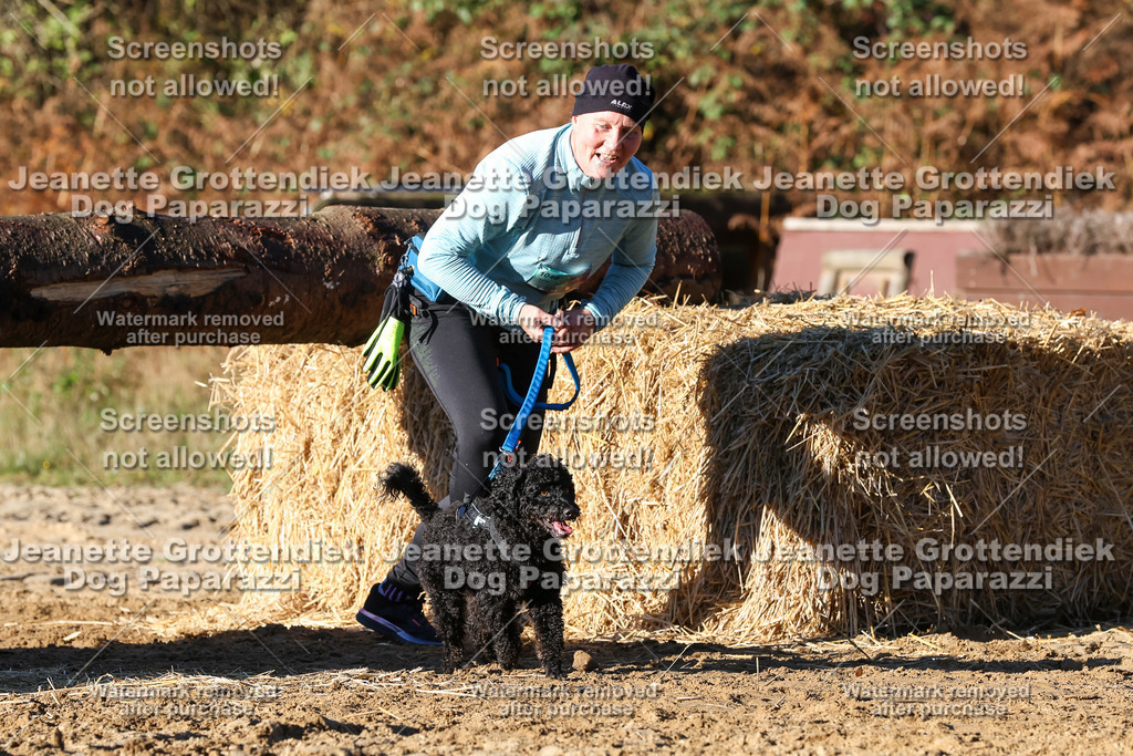 Dog Paparazzi - Strongdog 10-25-1477 | Dog Paparazzi Jeanette Grottendiek Fotografie & Videografie - Realisiert mit Pictrs.com