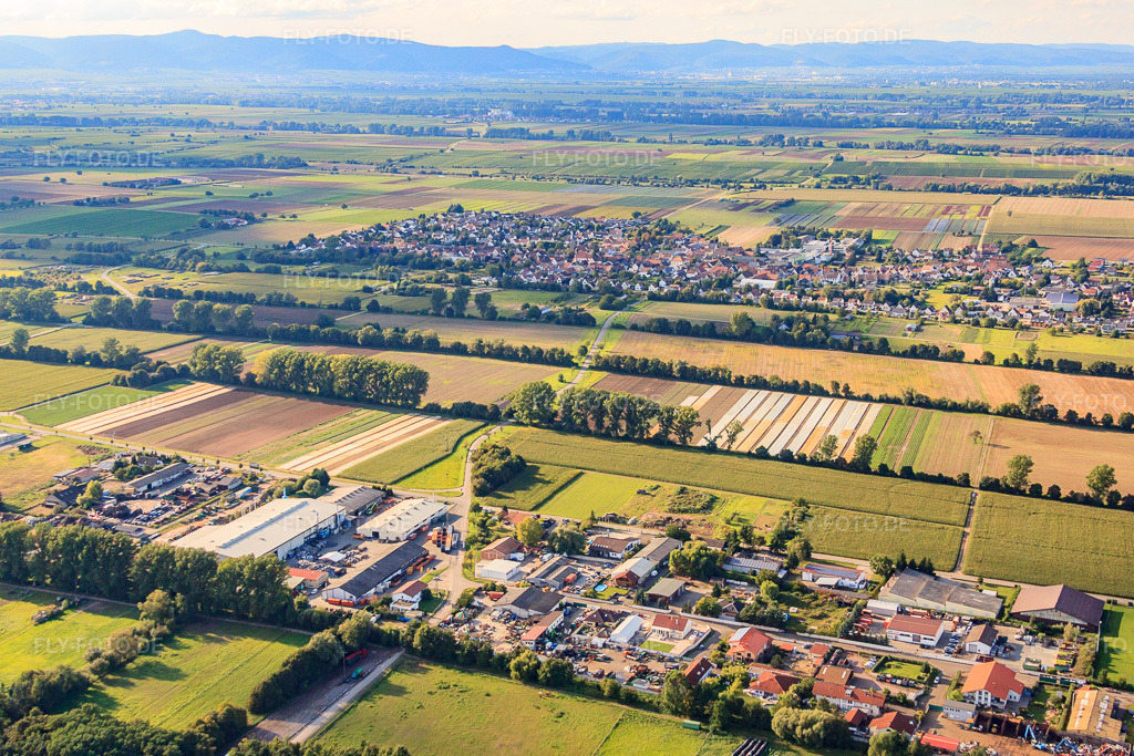 Luftbild: Ortsansicht von Süden im Ortsteil Niederlustadt in Lustadt im Bundesland Rheinland-Pfalz in Deutschland. Foto: IMG_71038.jpg vom 27.08.2014 durch Werner Riehm/FLY-FOTO.de – Auflösung des Originals: 4752 x 3168 px