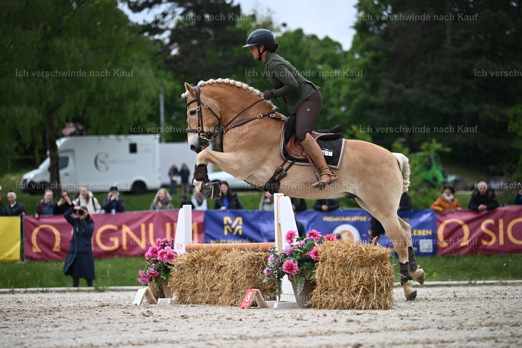 PI26_SP_Sara_Landvogt_226_4686.JPG | working equitationturnier fotograf videograf stoibphotography marixx film working equitation deutschland reitsport turnierfotografie eventfotografie equestrian events