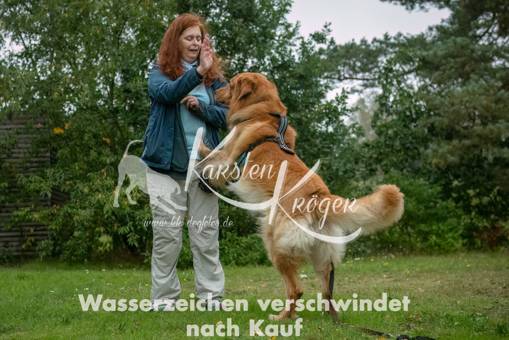 1102_ZZ93413-Bearbeitet | kk-dogfotos