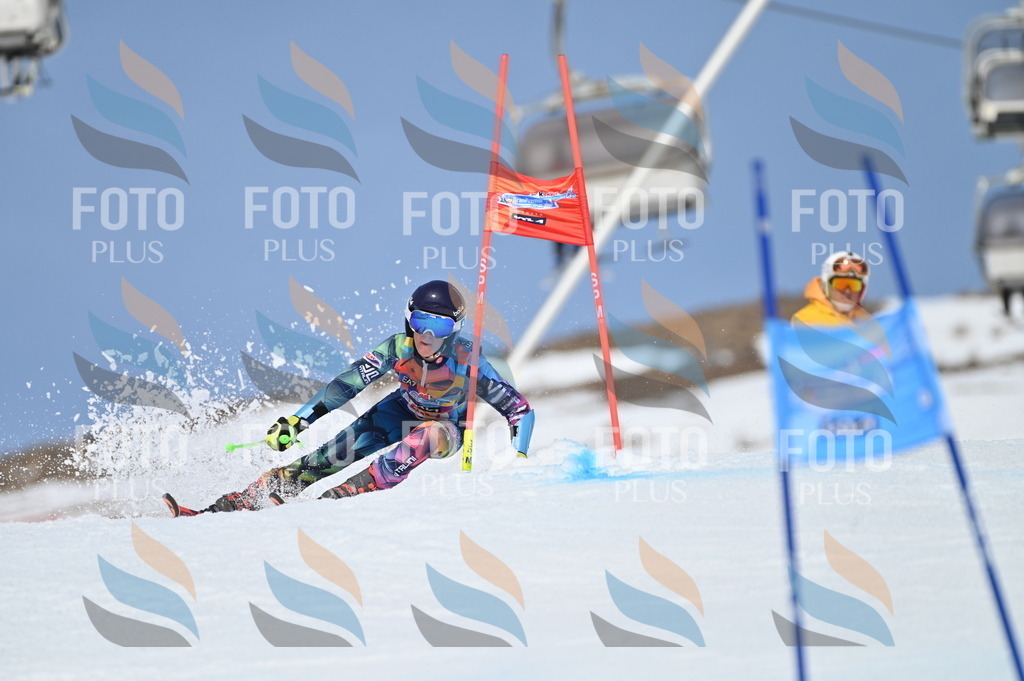 BGV_0976 | holidayphoto