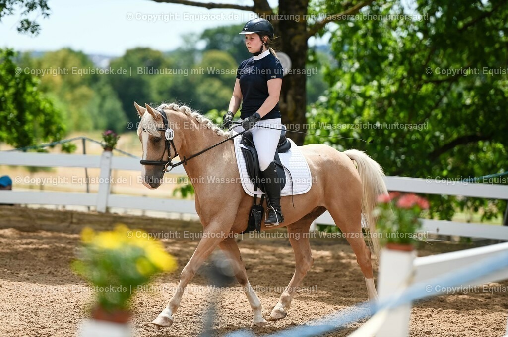 20230715_09_Dressur-WB_0516 | equistock
