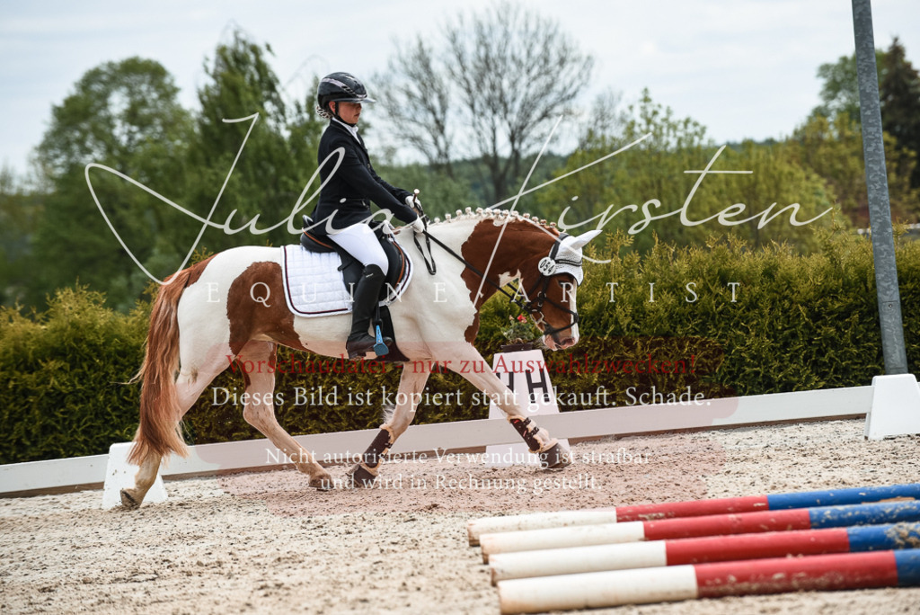 20230518_JK-Röhrsdorf-10-674 | Pferde- und Turnierfotografie in Westsachsen. Pferdeportraits, Auftragszeichnungen und intuitive Kunst.