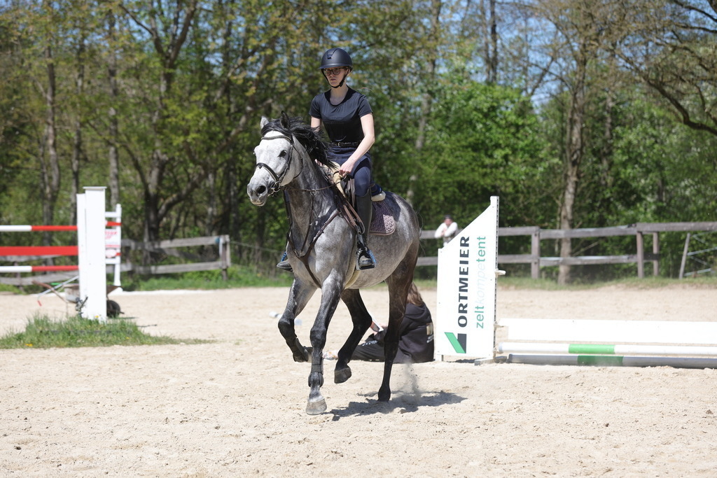 0P6A8813 | Willkommen bei Brunnmayr - Design & Fotografie – Ihrem Spezialisten für Reitturniere und Pferdeveranstaltungen in Oberösterreich, Salzburg und Bayern! Seit über 17 Jahren sind wir leidenschaftlich dabei.