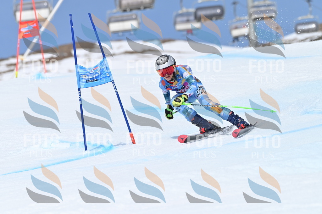 BGV_2388 | holidayphoto