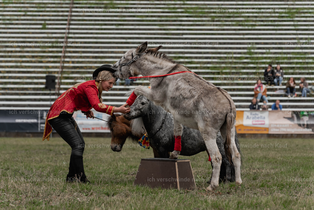 Showprogramm-264 | working equitationturnier fotograf videograf stoibphotography marixx film working equitation deutschland reitsport turnierfotografie eventfotografie equestrian events