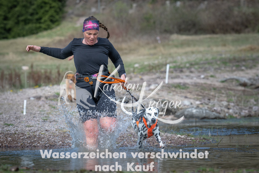 1100_ZZ92565 | kk-dogfotos