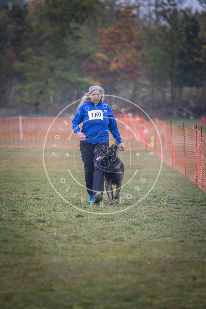 Pfotenfotografie_DV3A9062 | Hundefotografie, Tierfotograf, Pfotenfotografie, Fotoshooting Hund, Hunde Portrait, Hundesport, Hundeportraits, Heideshooting, Hunde, Sportfotograf, Hundefotograf, Turnierhundsport, THS,  - Realisiert mit Pictrs.com