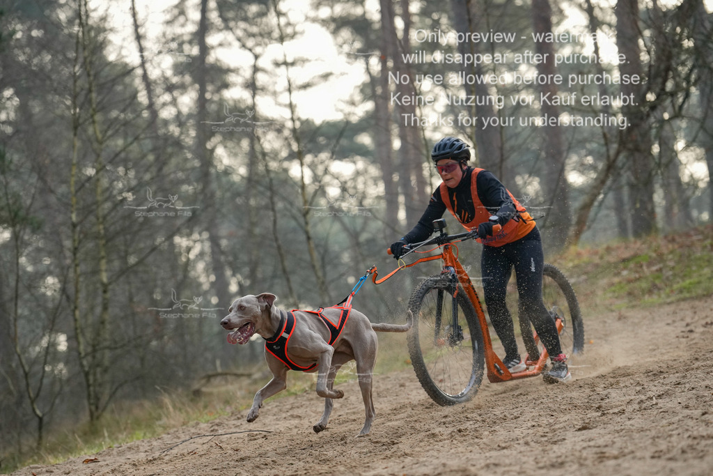 Scooter1-173 | stephaniefillaphotographie - Realisiert mit Pictrs.com