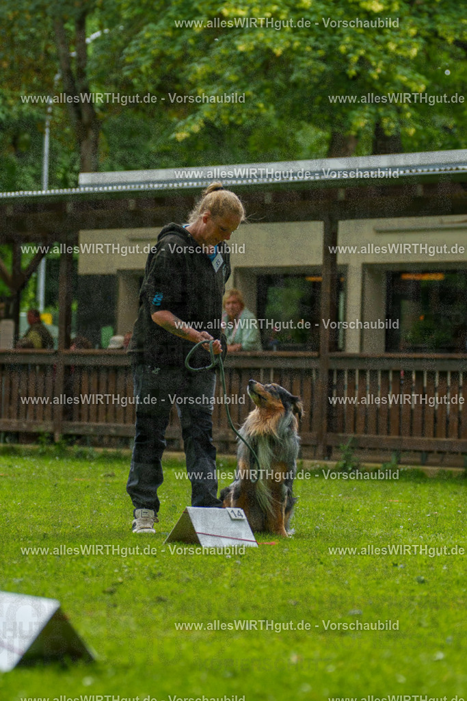 @allesWIRTHgut_Tierfotografie - www.allesWIRTHgut.de - 123516-7R509160 | Professionelle Tierfotografie in Mönchengladbach von Daniel Wirth (allesWIRTHgut). Liebevolle & natürliche Bilder von Hunden & Katzen für unvergessliche Erinnerungen.