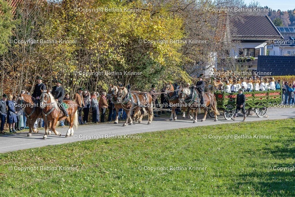 LBT25-228 | foto-bettina-krinner - Realisiert mit Pictrs.com