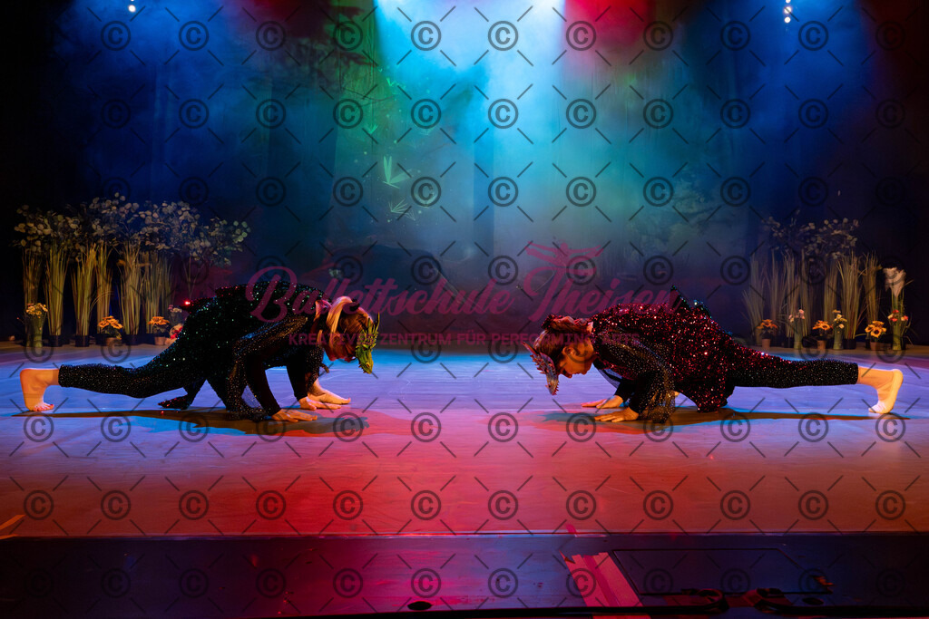 Ballettaufführung-239 | Bildershop Lem'n Entertainment - Realisiert mit Pictrs.com