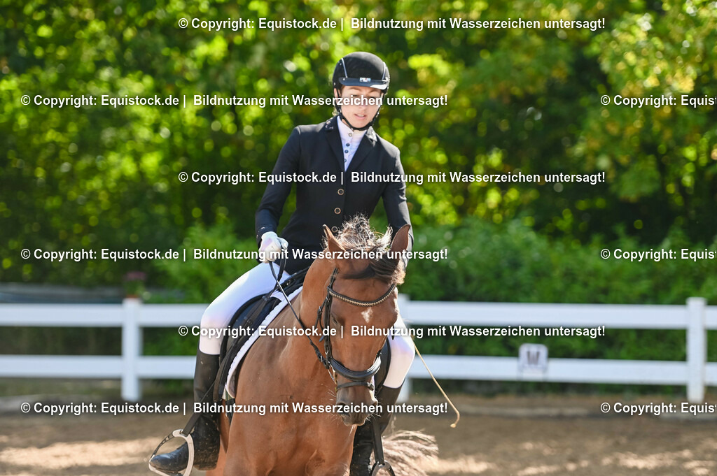 20230716_04_Dressurreiterprüfung Kl.A_0184 | equistock