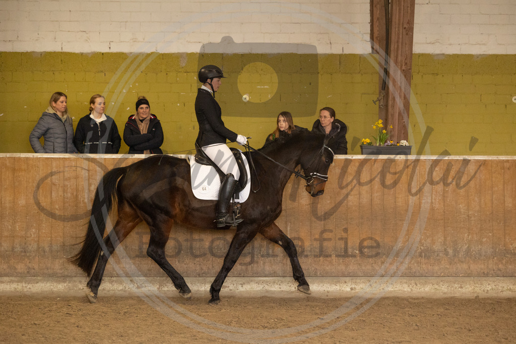 994A9223 | sabrinanicolaifotografie - Realisiert mit Pictrs.com