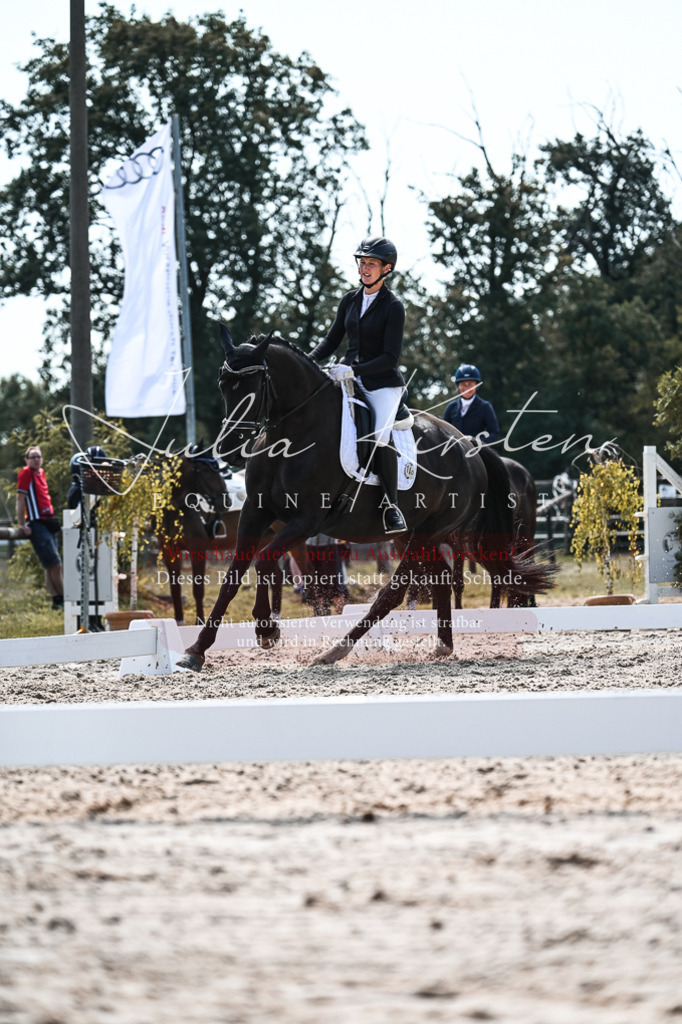 DSC_5351 | Pferde- und Turnierfotografie in Westsachsen. Pferdeportraits, Auftragszeichnungen und intuitive Kunst.